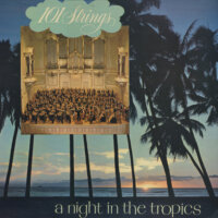 A Night in the Tropics