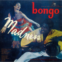 Bongo Madness
