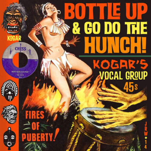 Album cover of Bottle Up and Go Do the Hunch by Various Artists