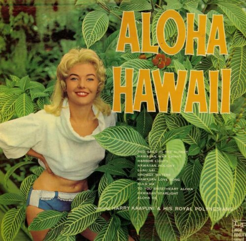 Album cover of Aloha Hawaii by Harry Kaapuni & His Royal Polynesians