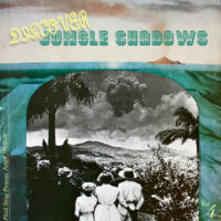 Jungle Shadows IV (Flash Strap Mix)