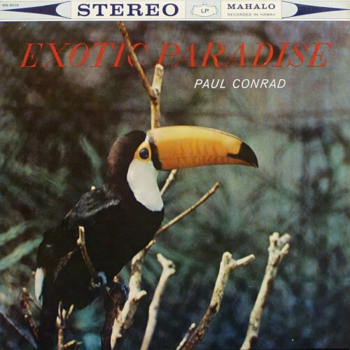 Album cover of Exotic Paradise by Paul Conrad