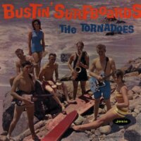 Bustin' Surfboards
