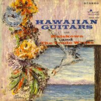 Hawaiian Guitars