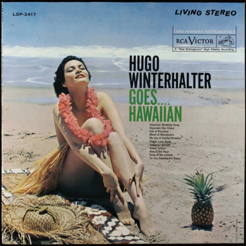 Album cover of Goes… Hawaiian by Hugo Winterhalter