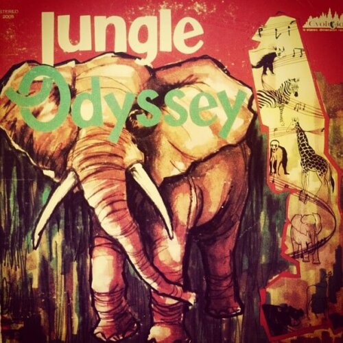 Album cover of Jungle Odyssey by Mike Simpson