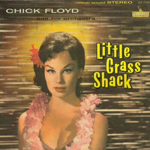 Album cover of Little Grass Shack by Chick Floyd