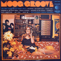 Moog Groove