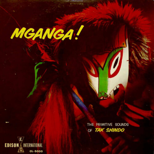 Album cover of Mganga by Tak Shindo