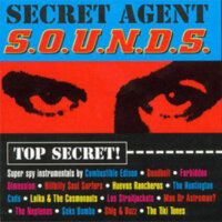 Secret Agent S.O.U.N.D.S