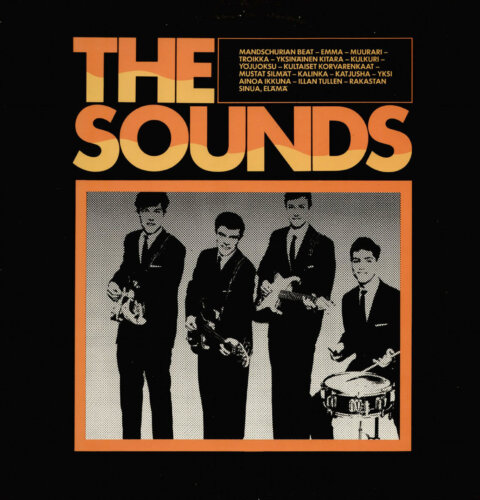 Album cover of The Sounds 1963-1965 by The Sounds