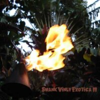 Swank Vinyl Exotica II