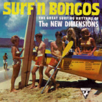 Surf'n Bongos