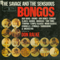 The Savage and the Sensuous Bongos