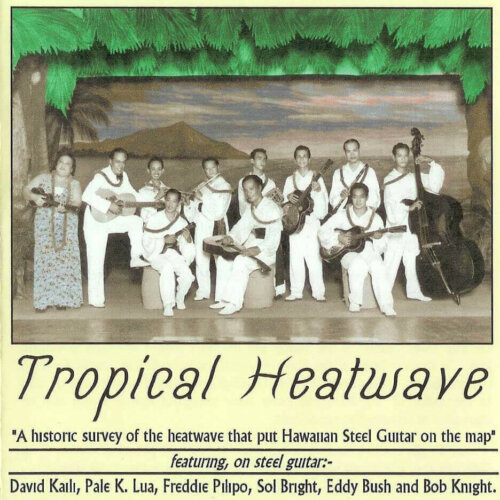 Album cover of Tropical Heatwave Vol. 1 by Various Artists
