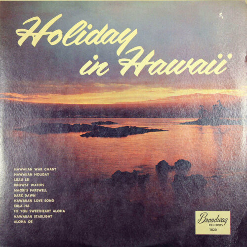 Album cover of Holiday in Hawaii by Unknown