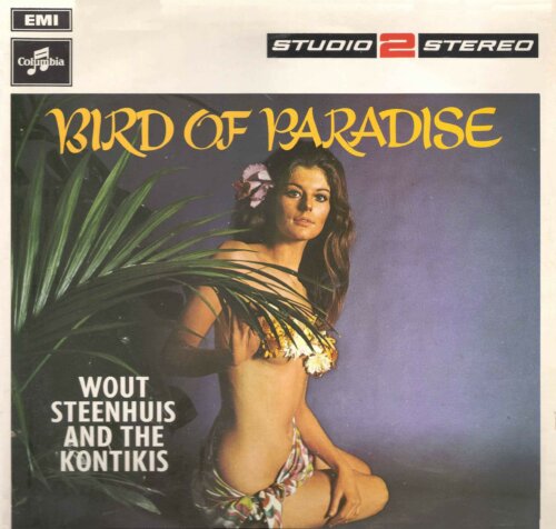 Album cover of Bird of Paradise by Wout Steenhuis & The Kontikis