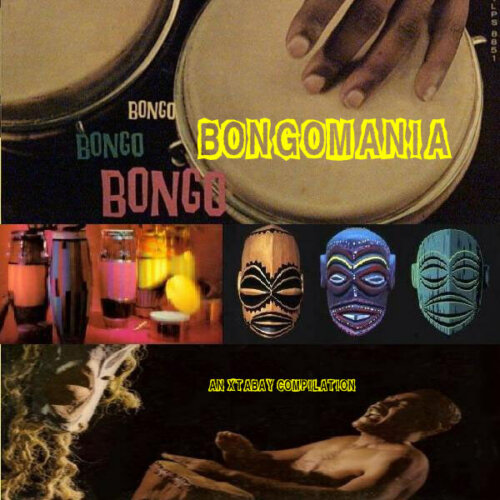Album cover of Bongomania by Various Artists
