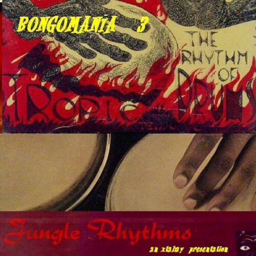 Album cover of Bongomania 3 by Various Artists