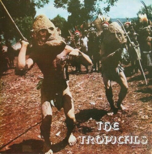 Album cover of Urubamba by The Tropicals