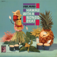 Hawaii With A Bongo Beat