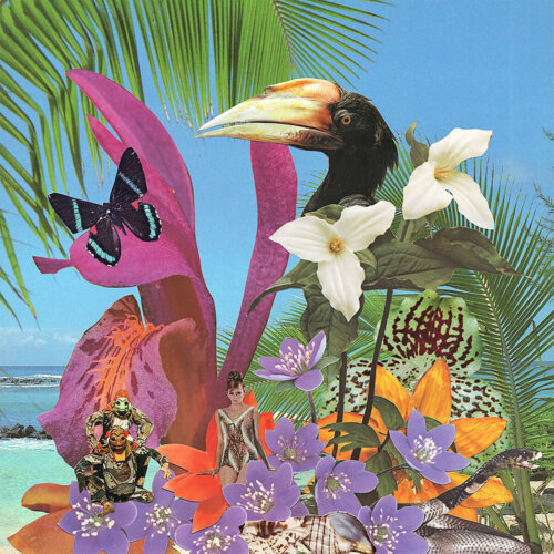 Album cover of Adventures on the Floating Island by Monster Rally