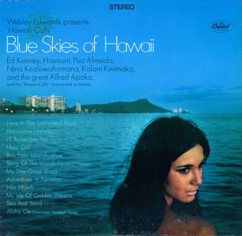 Album cover of Hawaii Calls - Blue Skies Of Hawaii by Various Artists