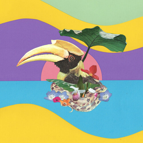 Album cover of Flowering Jungle by Monster Rally