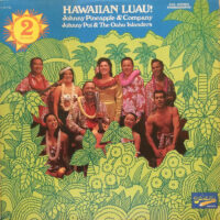 Hawaiian Luau!
