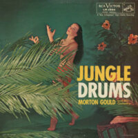 Jungle Drums