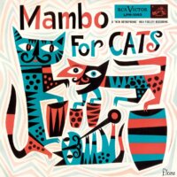 Mambo for Cats