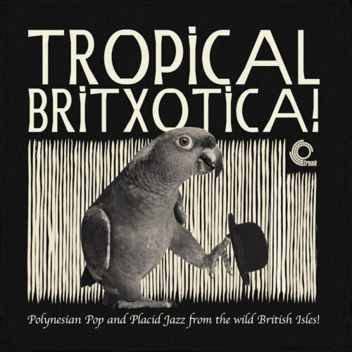 Album cover of Tropical Britxotica – Polynesian Pop And Placid Jazz From The Wild British Isles! by Various Artists