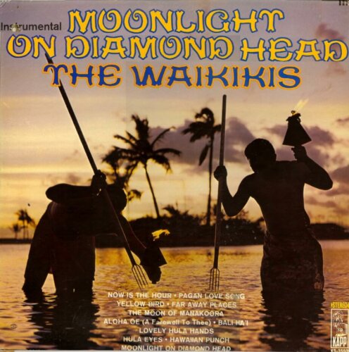 Album cover of Moonlight On Diamond Head by The Waikikis