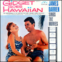 Gidget Goes Hawaiian