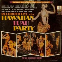 Hawaiian Luau Party