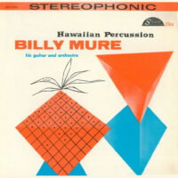 Hawaiian Percussion