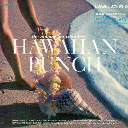 Album cover of Hawaiian Punch by The Mauna Loa Islanders