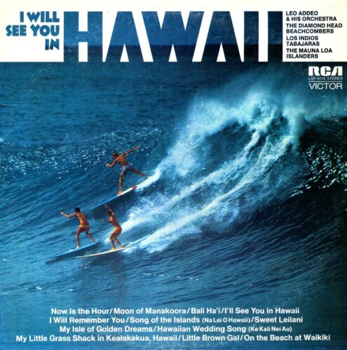 Album cover of I Will See You In Hawaii by Various Artists