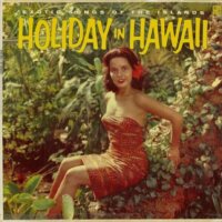 Holiday In Hawaii