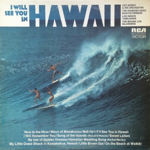 Album cover of I Will See You In Hawaii by Various Artists