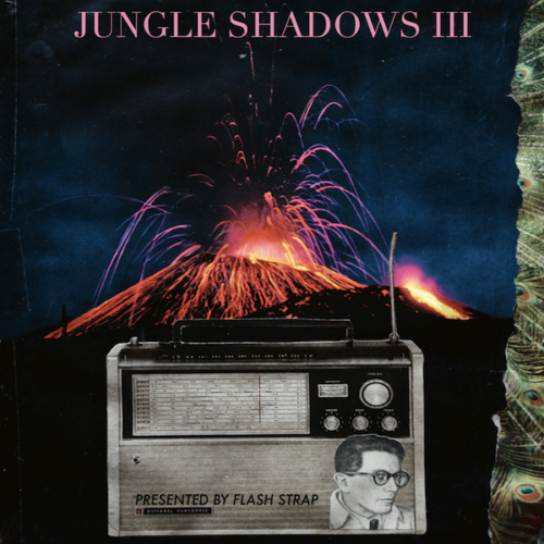Album cover of Jungle Shadows III (Flash Strap Mix) by Various Artists