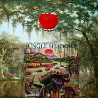Jungle Shadows I (Flash Strap Mix)