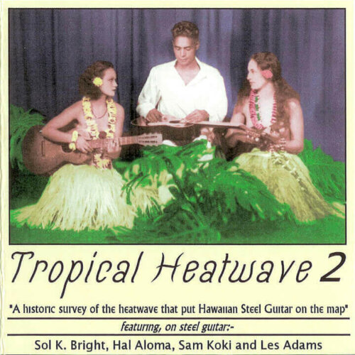 Album cover of Tropical Heatwave Vol. 2 by Various Artists