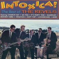 Intoxica - The Best Of The Revels