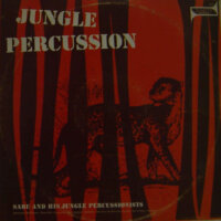Jungle Percussion