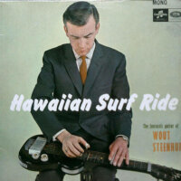 Hawaiian Surf Ride