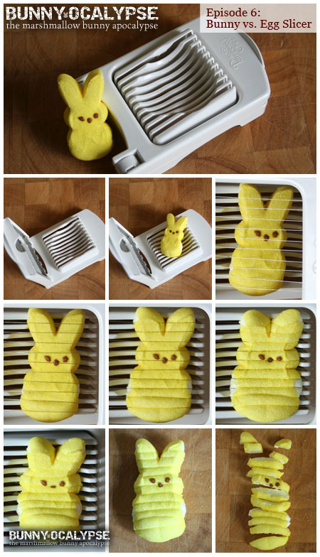 bunny vs eggslicer