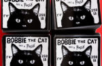 Bobbie the Cat has a posse