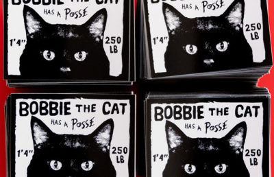 Bobbie the Cat has a posse