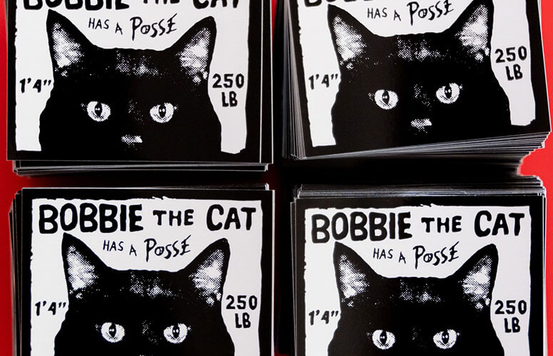 Bobbie the Cat has a posse